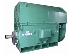 Y500-10Y系列6KV高压电机